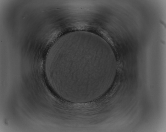 X0000091930018200710031107