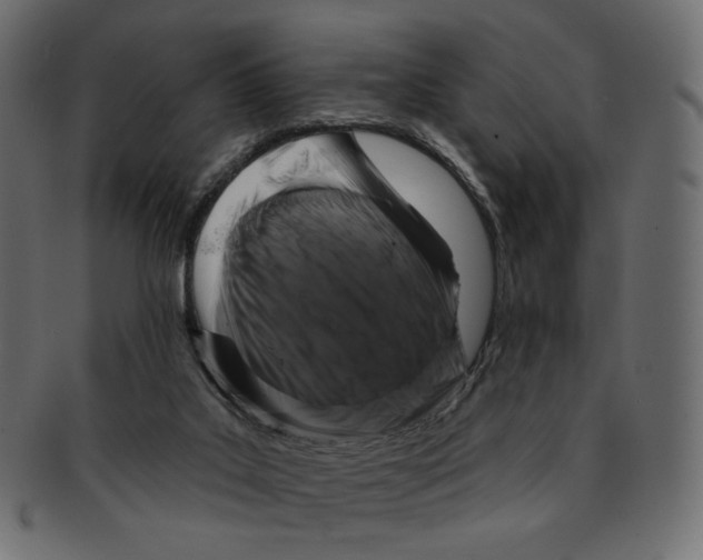 X0000091930019200710031107