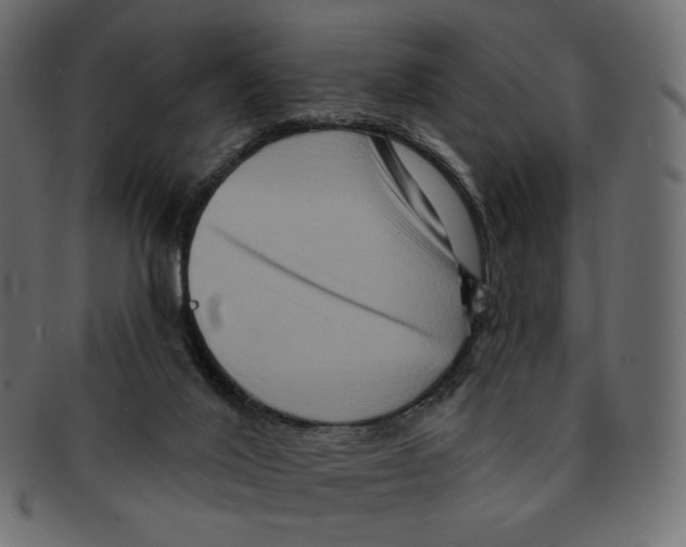 X0000091930020200710031107