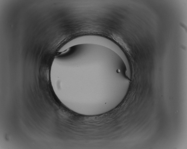 X0000091930021200710031107