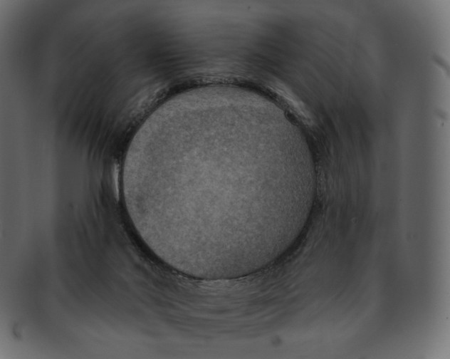 X0000091930022200710031107