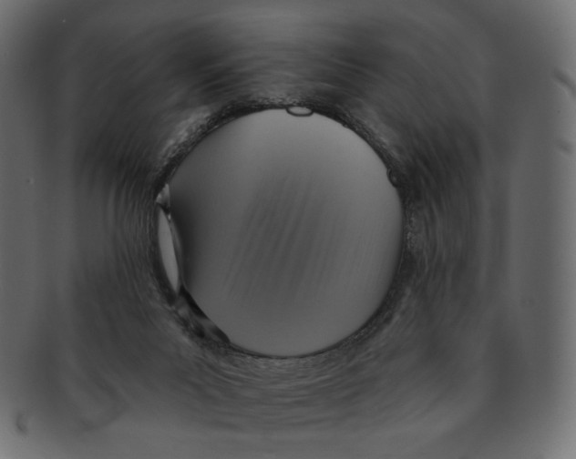 X0000091930023200710031107