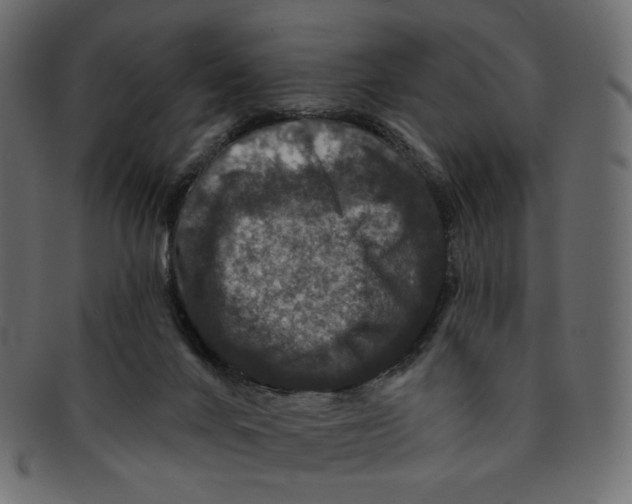 X0000091930024200710031107