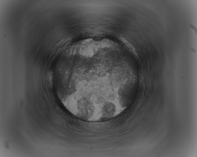 X0000091930026200710031107