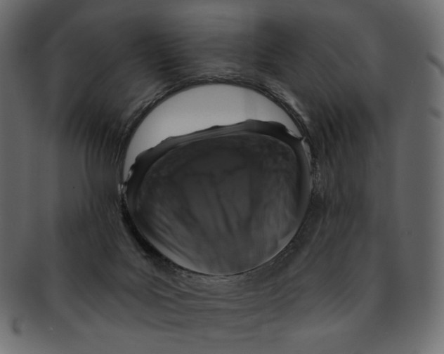 X0000091930027200710031107