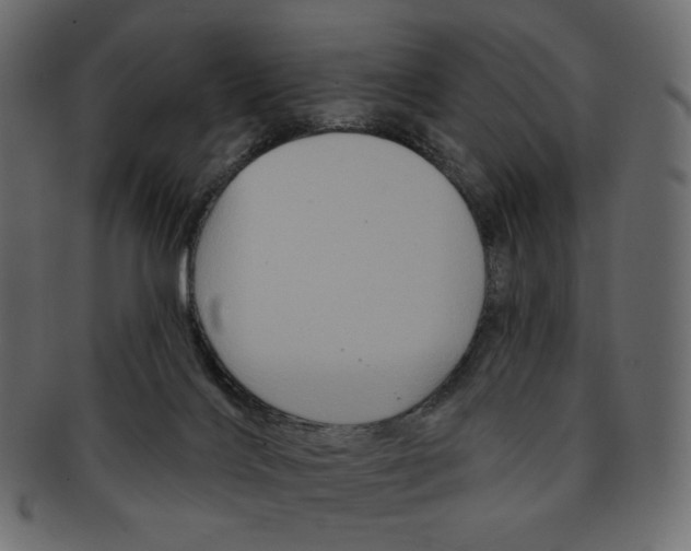 X0000091930028200710031107