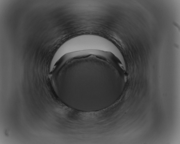 X0000091930029200710031107