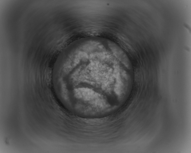 X0000091930030200710031107