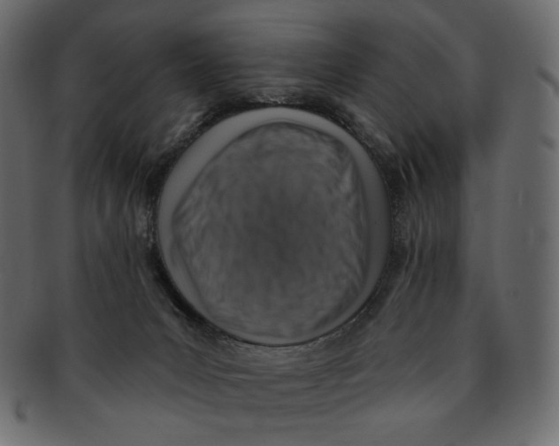 X0000091930031200710031107