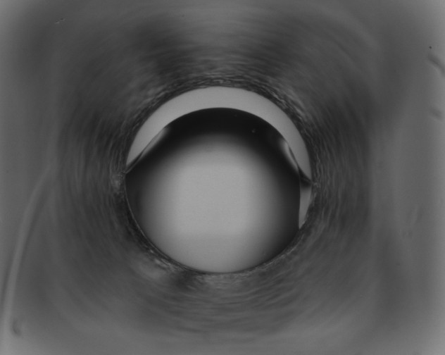 X0000091930033200710031107