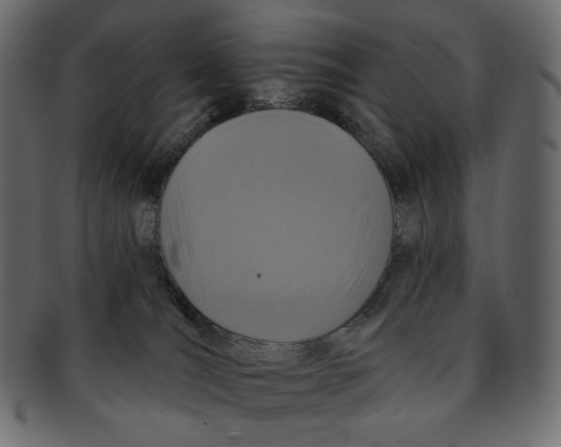 X0000091930036200710031107