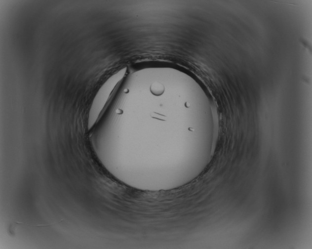 X0000091930037200710031107