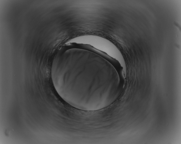 X0000091930039200710031107