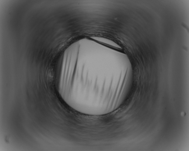 X0000091930040200710031107