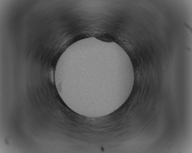 X0000091930042200710031107