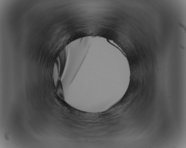 X0000091930044200710031107