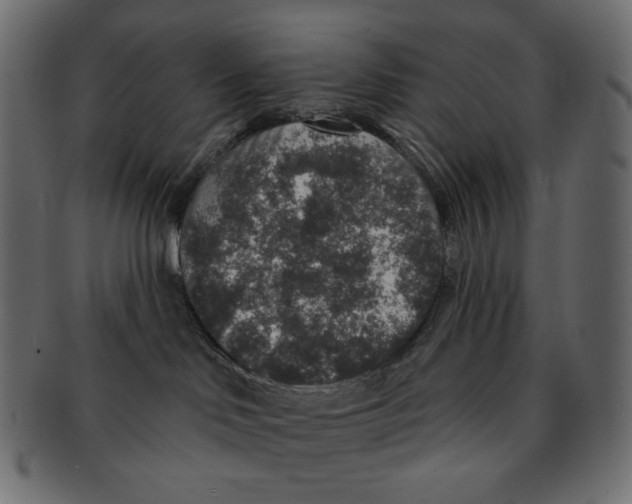 X0000091930046200710031107