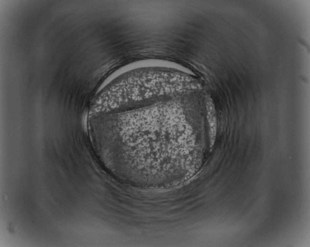 X0000091930047200710031107