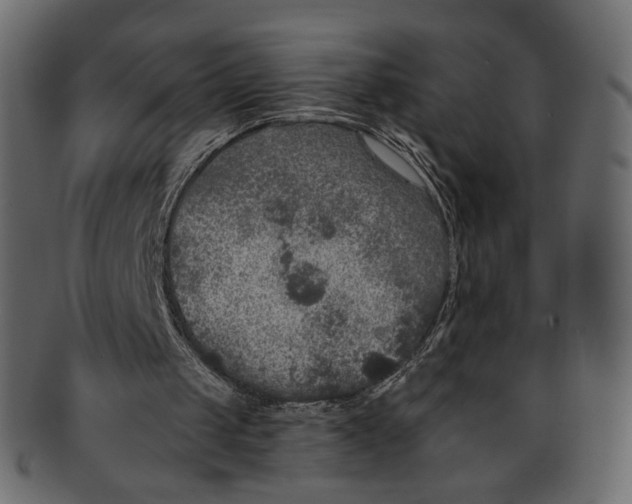 X0000091930049200710031106