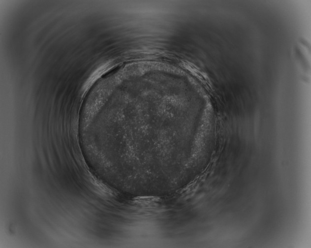 X0000091930051200710031106