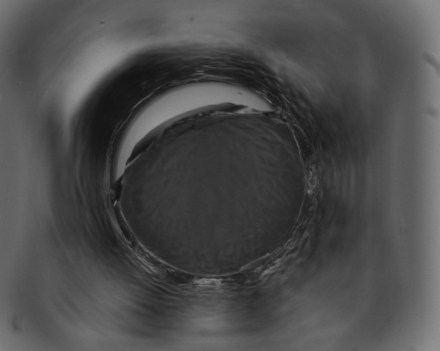 X0000091930052200710031106