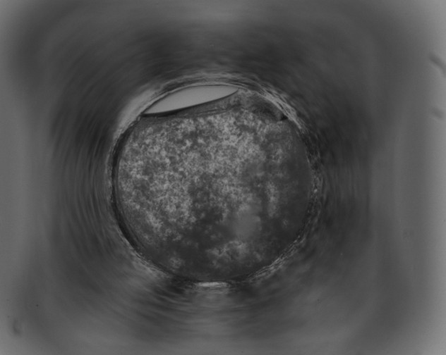 X0000091930053200710031106