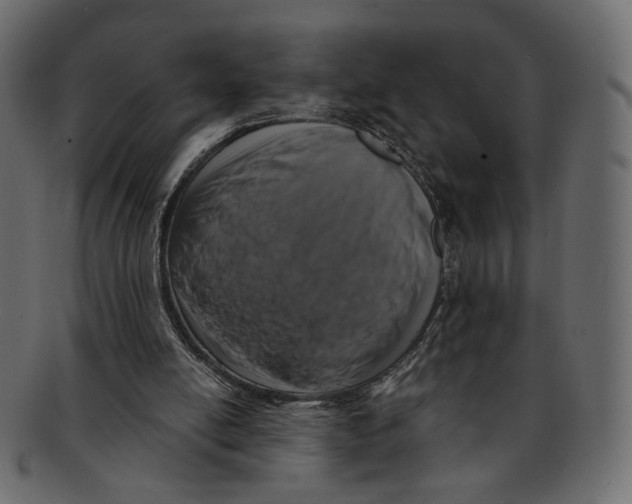 X0000091930054200710031106