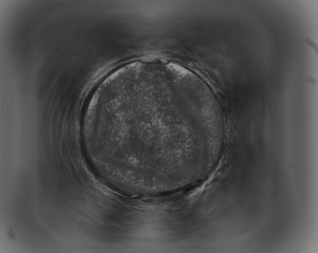 X0000091930055200710031106