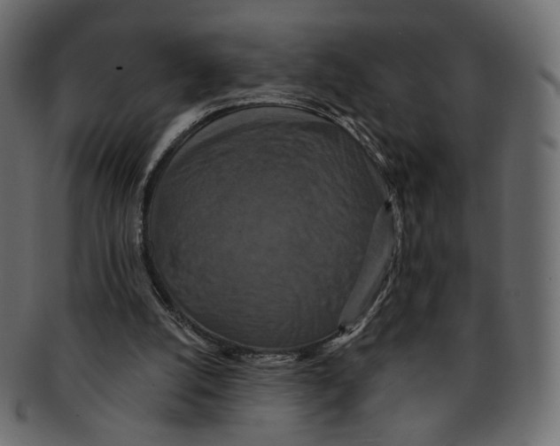 X0000091930056200710031106