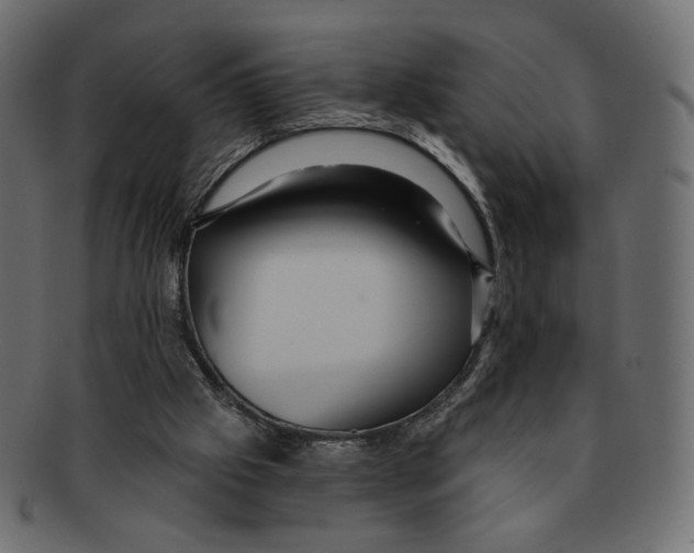 X0000091930057200710031106