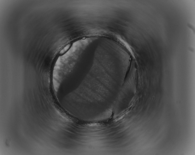 X0000091930059200710031106