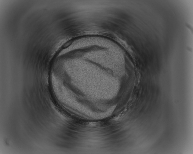 X0000091930060200710031106