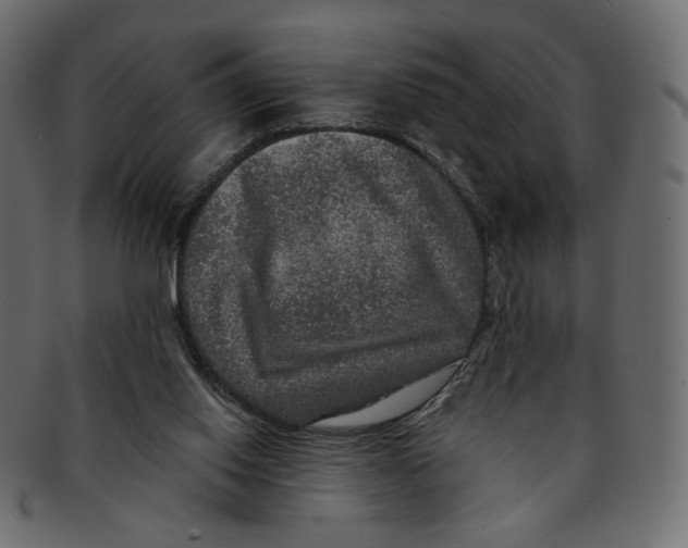 X0000091930062200710031106