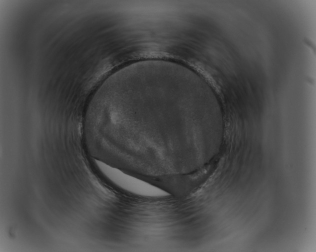 X0000091930063200710031106