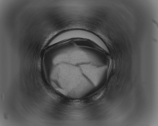 X0000091930064200710031106