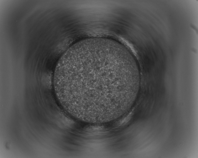 X0000091930065200710031106