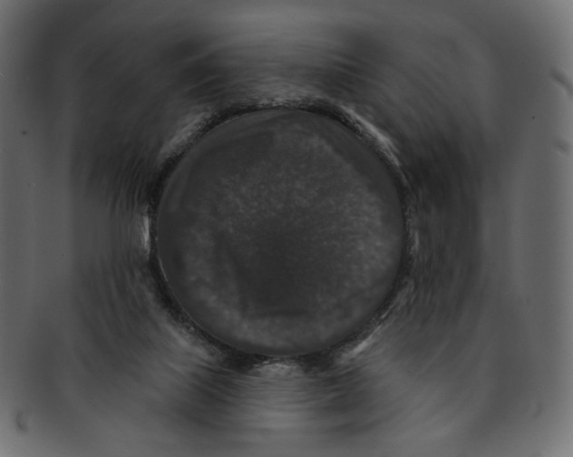 X0000091930067200710031106