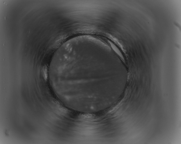 X0000091930069200710031106