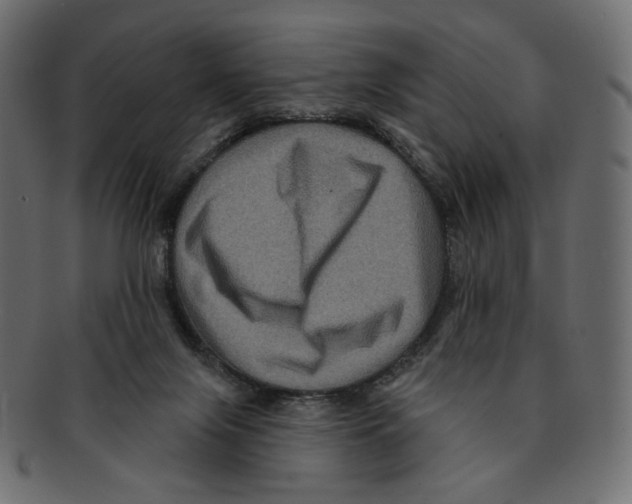 X0000091930071200710031106