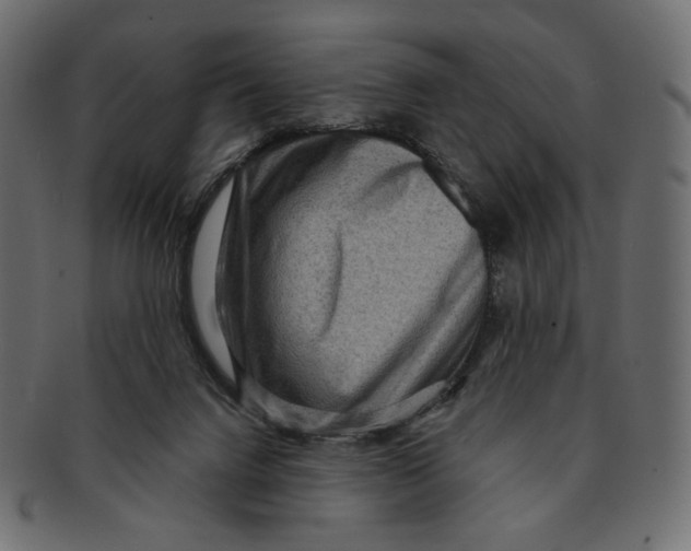 X0000091930072200710031106