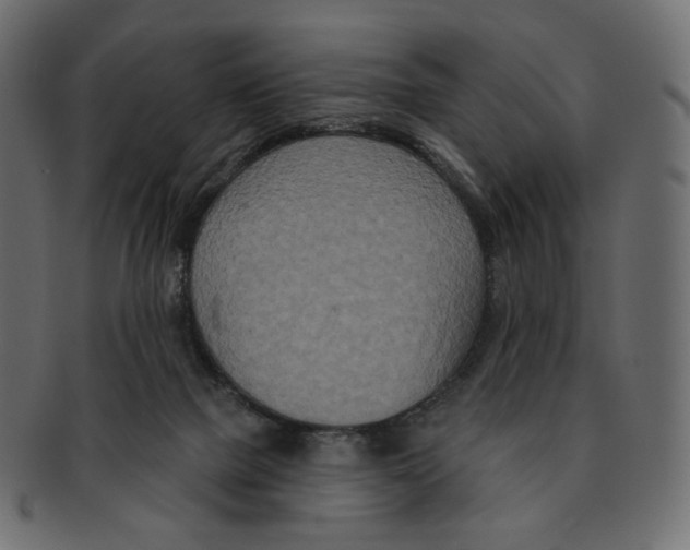 X0000091930073200710031107