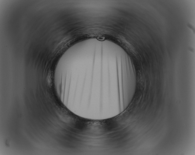 X0000091930074200710031107