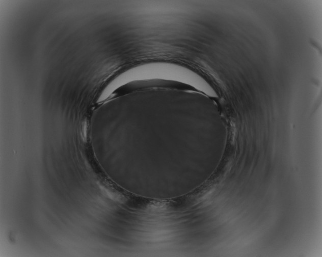 X0000091930076200710031107