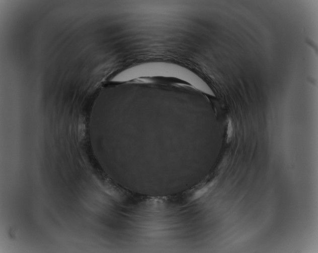 X0000091930080200710031107