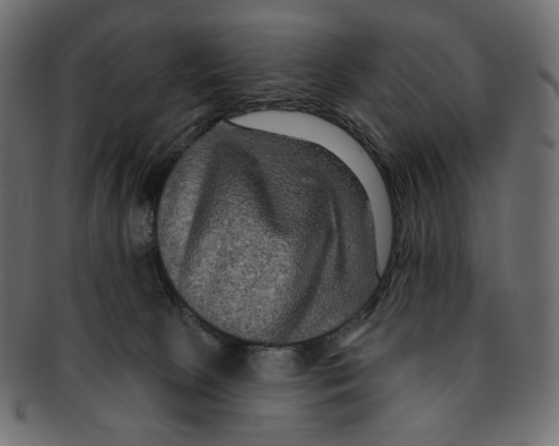 X0000091930081200710031107