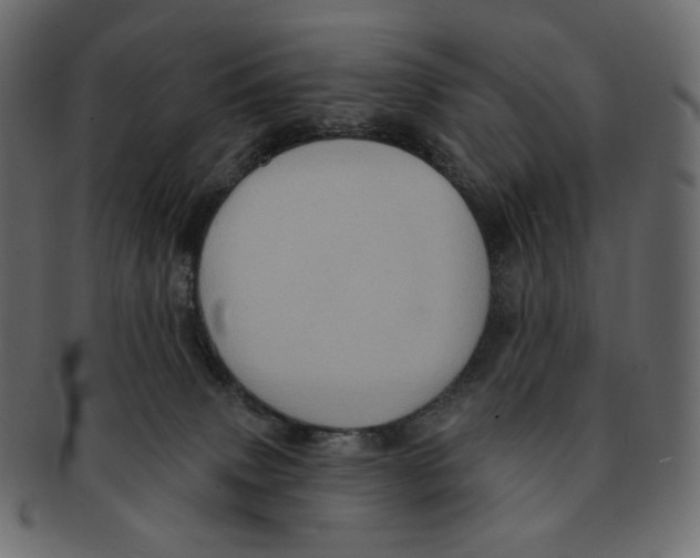 X0000091930083200710031107