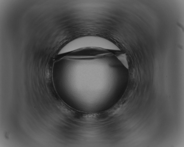 X0000091930084200710031107