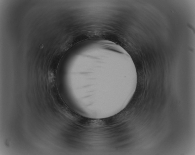 X0000091930087200710031107