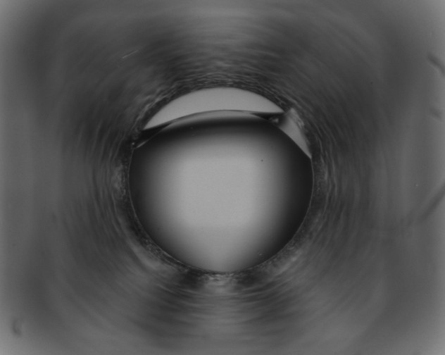 X0000091930088200710031107