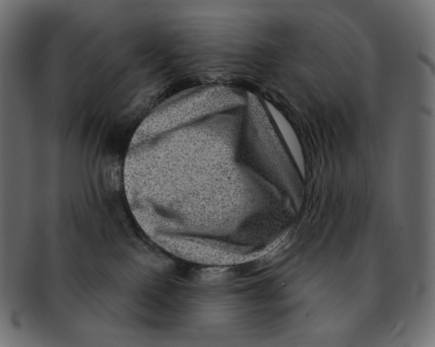 X0000091930090200710031107